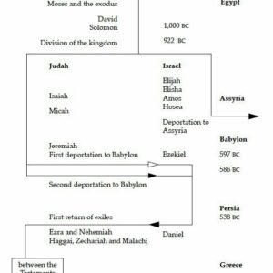 A Complete Biblical Timeline - A truegritt christian outreach booklet