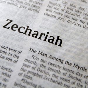 Zechariah Chapter 1: 1 - 17