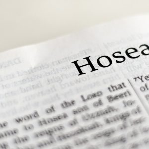 Hosea